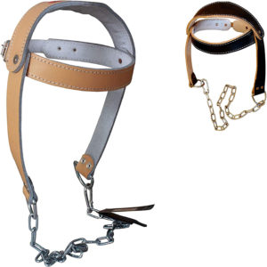 Head Harness